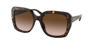 300613 Dark Tortoise