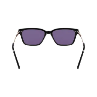 Dkny Sunglasses DK713S
