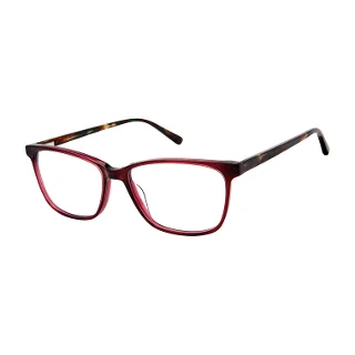 Aristar Eyeglasses 18446