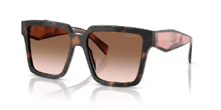 23A0A6 Mauve Tortoise