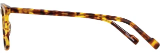 Scott Harris Eyeglasses SH-854