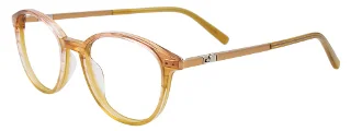 Easyclip Eyeglasses EC581