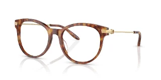 5023 Shiny Light Tortoise