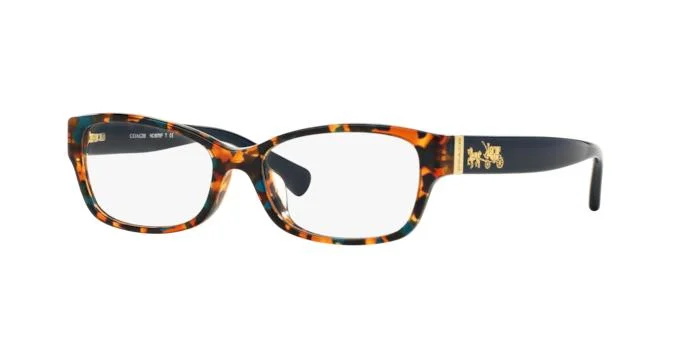 Coach Eyeglasses HC6078