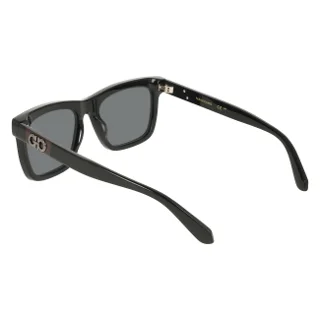 Salvatore Ferragamo Sunglasses SF2113S