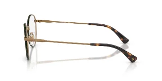 Polo Eyeglasses PH1241