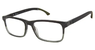C01 Black Olive