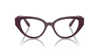 Swarovski Eyeglasses SK2024