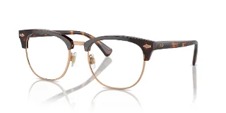6137 Shiny Brown Tortoise