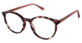 C02 Blush Tortoise