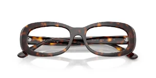 Ray Ban Eyeglasses RX2221V