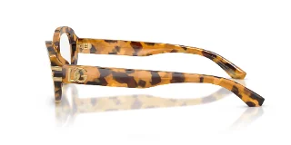 Dolce & Gabbana Eyeglasses DG3455