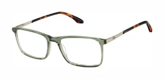 107 Olive