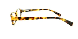 Vera Wang Eyeglasses V173