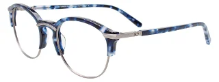 050 Blue Tortoise