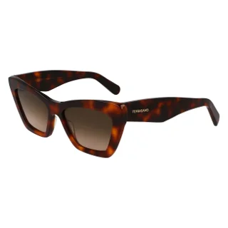 219 Brown Tortoise