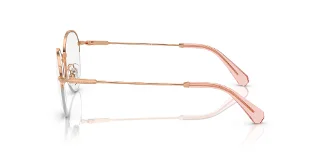 Swarovski Eyeglasses SK1004