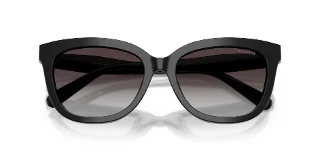 Coach Sunglasses HC8453U