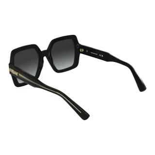 Longchamp Sunglasses LO790S