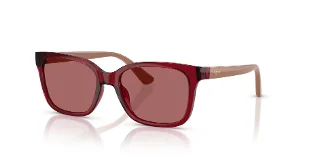 306669 Transparent Dark Red