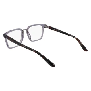 Dragon Eyeglasses DR7011
