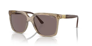 29407N Transparent Brown