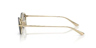 Jimmy Choo Sunglasses JC4020B