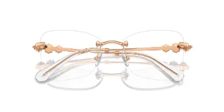 Swarovski Eyeglasses SK1014