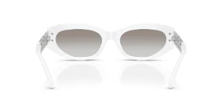 Versace Sunglasses VE4501F