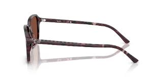 Ray Ban Sunglasses RB2231