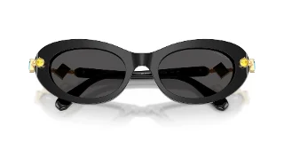 Swarovski Sunglasses SK6042