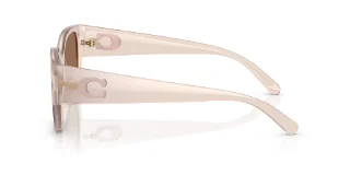 Coach Sunglasses HC8469D