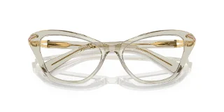Swarovski Eyeglasses SK2031
