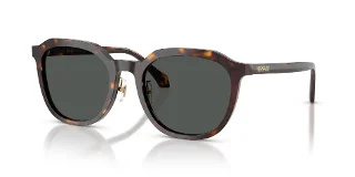 Versace Sunglasses VE4493D