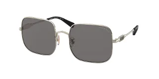 Coach Sunglasses HC7120