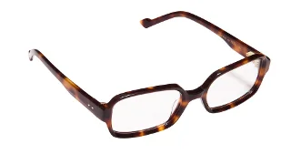 03-Isolde Tortoise