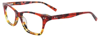 Easyclip Eyeglasses EC453