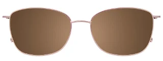 Easyclip Eyeglasses EC535