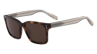 Dragon Sunglasses DR519S LEGIT