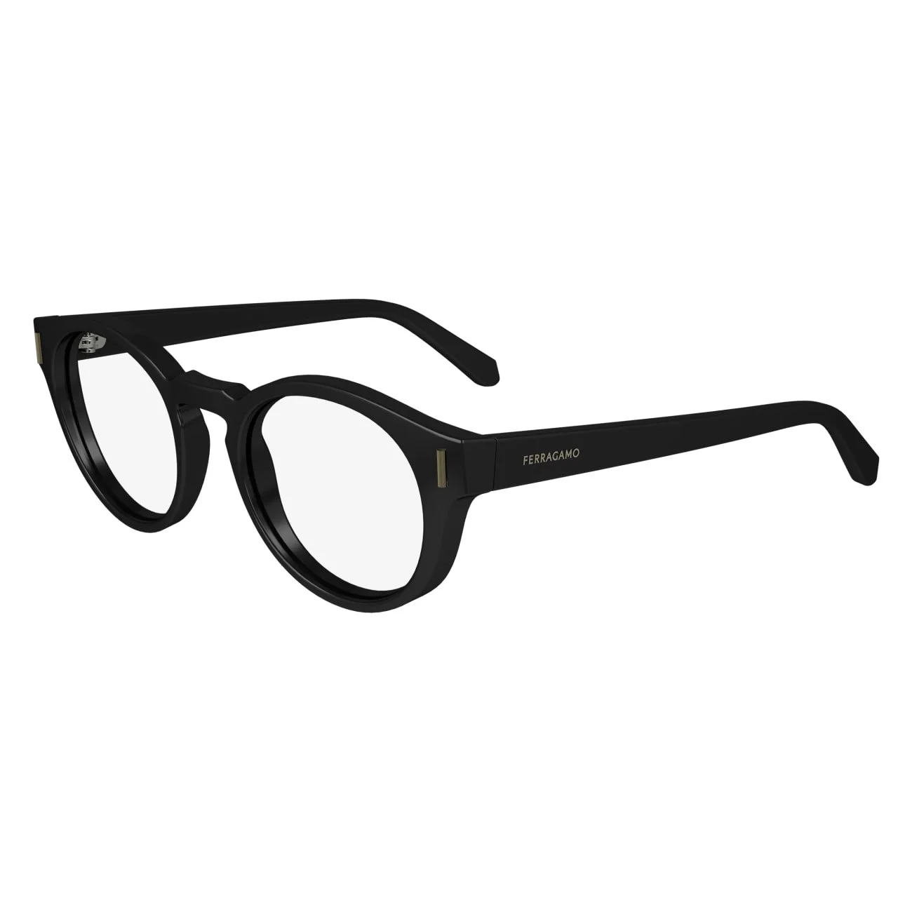 Salvatore Ferragamo Eyeglasses SF2998
