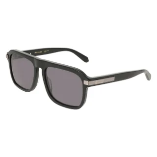 Salvatore Ferragamo Sunglasses SF2087S