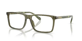 5848 Transparent Olive