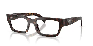 17N1O1 Root Tortoise