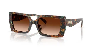 584474 Jade Pearl Tortoise