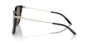 Ralph Lauren Sunglasses RL8209
