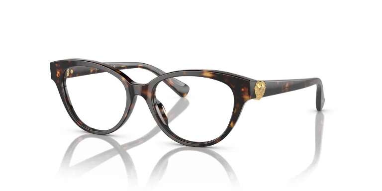 Versace Eyeglasses VK3004F