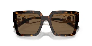 Dolce & Gabbana Sunglasses DG4446B