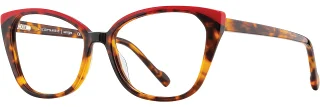 C02 Tortoise/Red