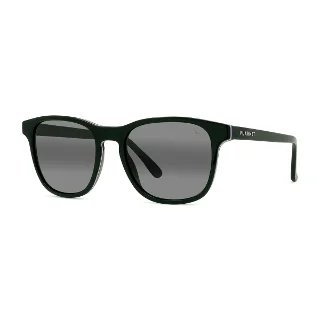 05D Shiny Black With Grey Polarlynx Lenses