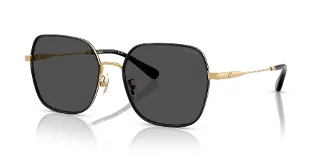 946687 Shiny Gold/Black